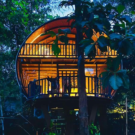 ホテル Woodland Sanctuary ハバラナ エクステリア 写真