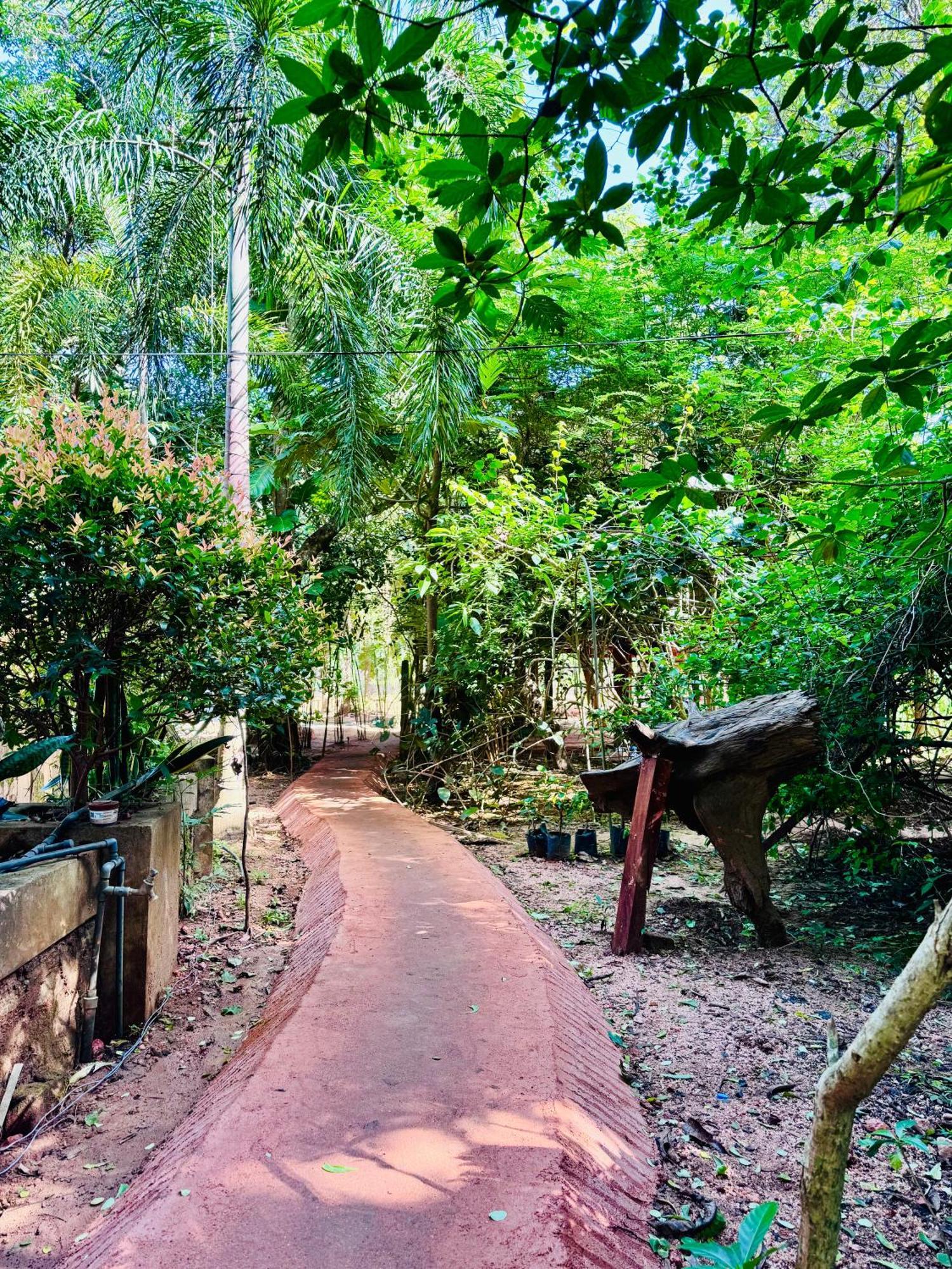 ホテル Woodland Sanctuary ハバラナ エクステリア 写真