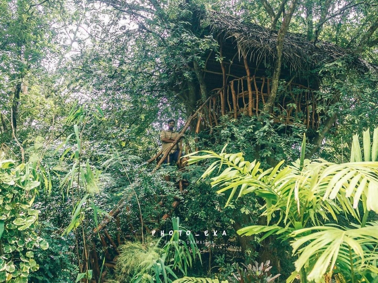 ホテル Woodland Sanctuary ハバラナ エクステリア 写真