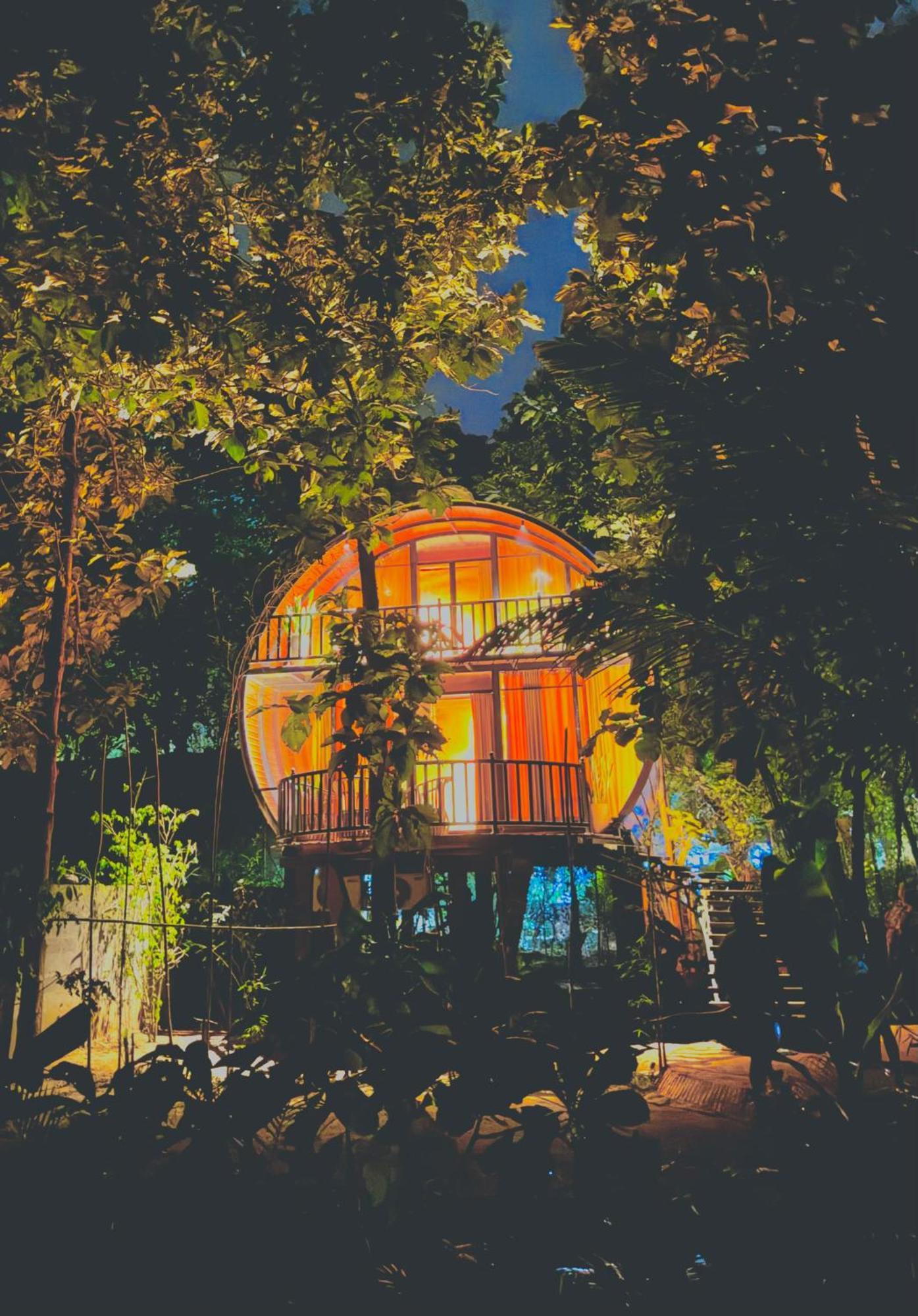 ホテル Woodland Sanctuary ハバラナ エクステリア 写真